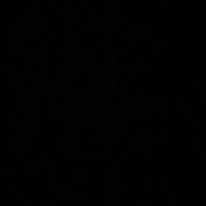 Meet your Posher, Garron